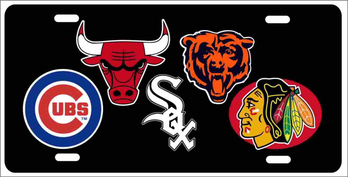 64+ Chicago Sports Teams
