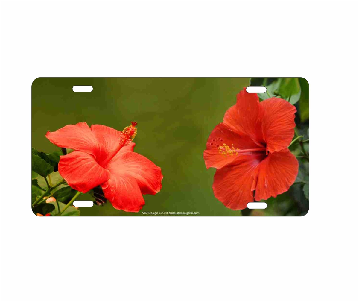 personalized colorful Tropical Hibiscus flower novelty front license ...